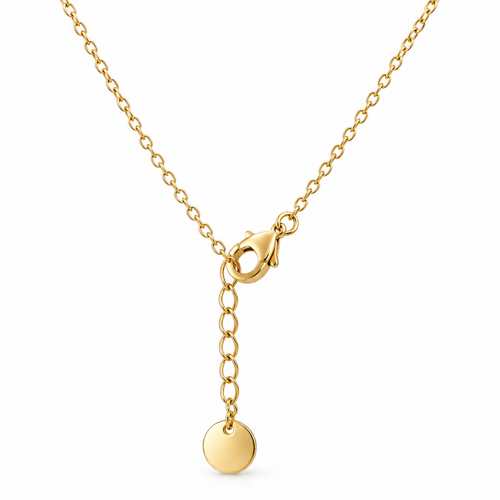 Aquarius Zodiac Necklace – Stainless Steel