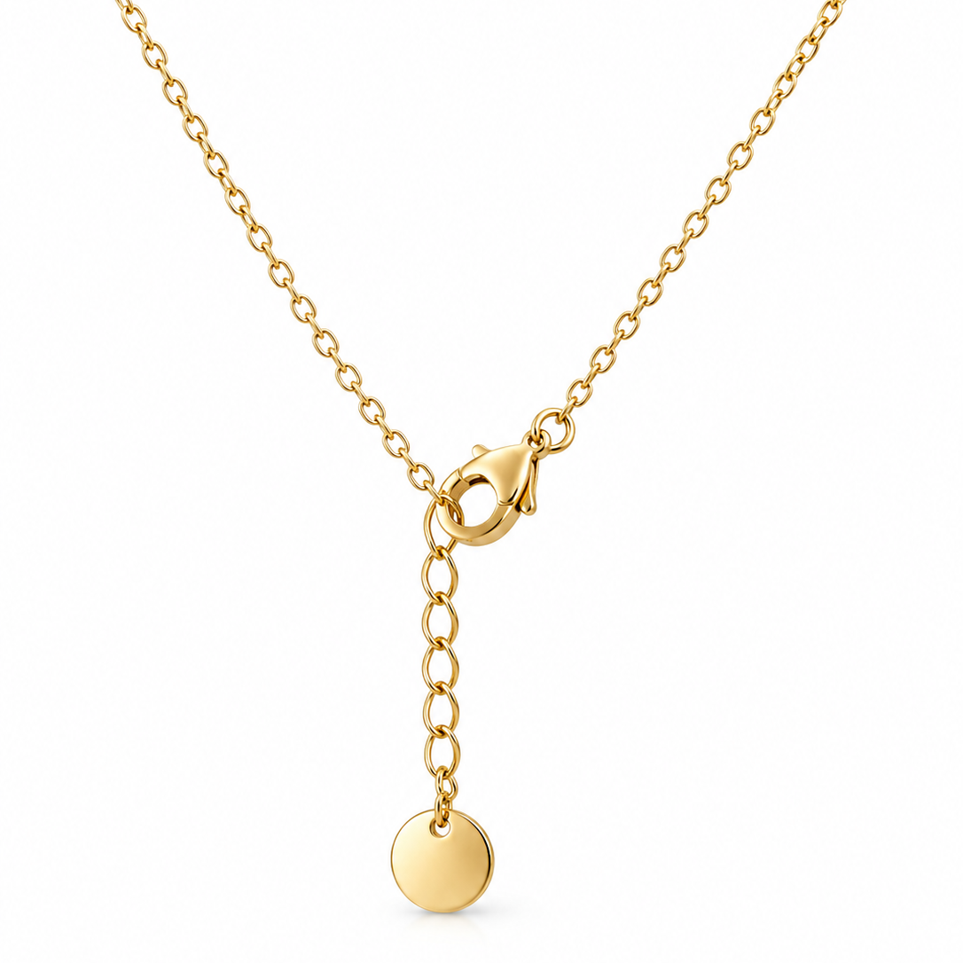 Aquarius Zodiac Necklace – Stainless Steel