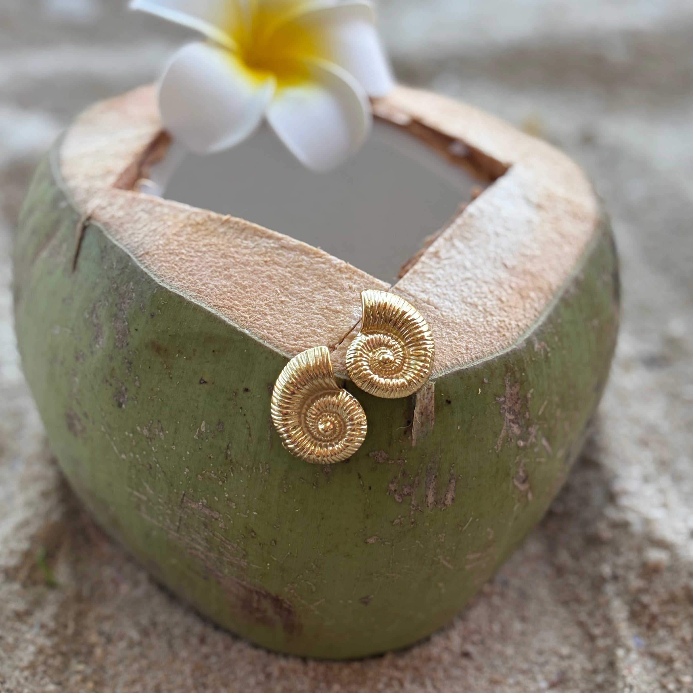 Gold Seashell Earrings / Boucles d'oreilles