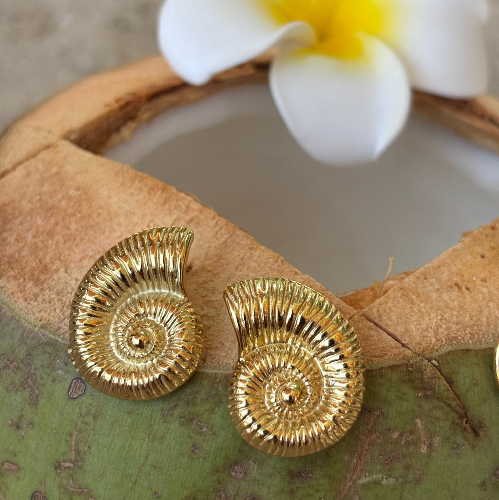 Gold Seashell Earrings / Boucles d'oreilles