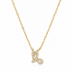 COLLIER ZODIAQUE - CAPRICORNE