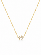 Sagittarius Zodiac Necklace — Stainless Steel