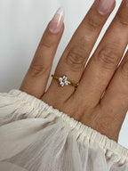 BAGUE - ALMA