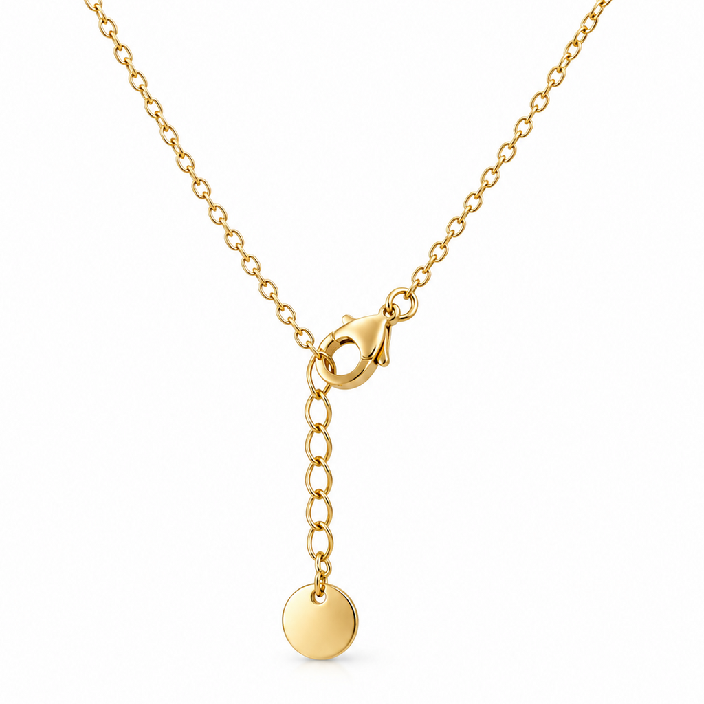 Leo Zodiac Necklace – Stainless Steel