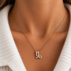 COLLIER ZODIAQUE - CAPRICORNE
