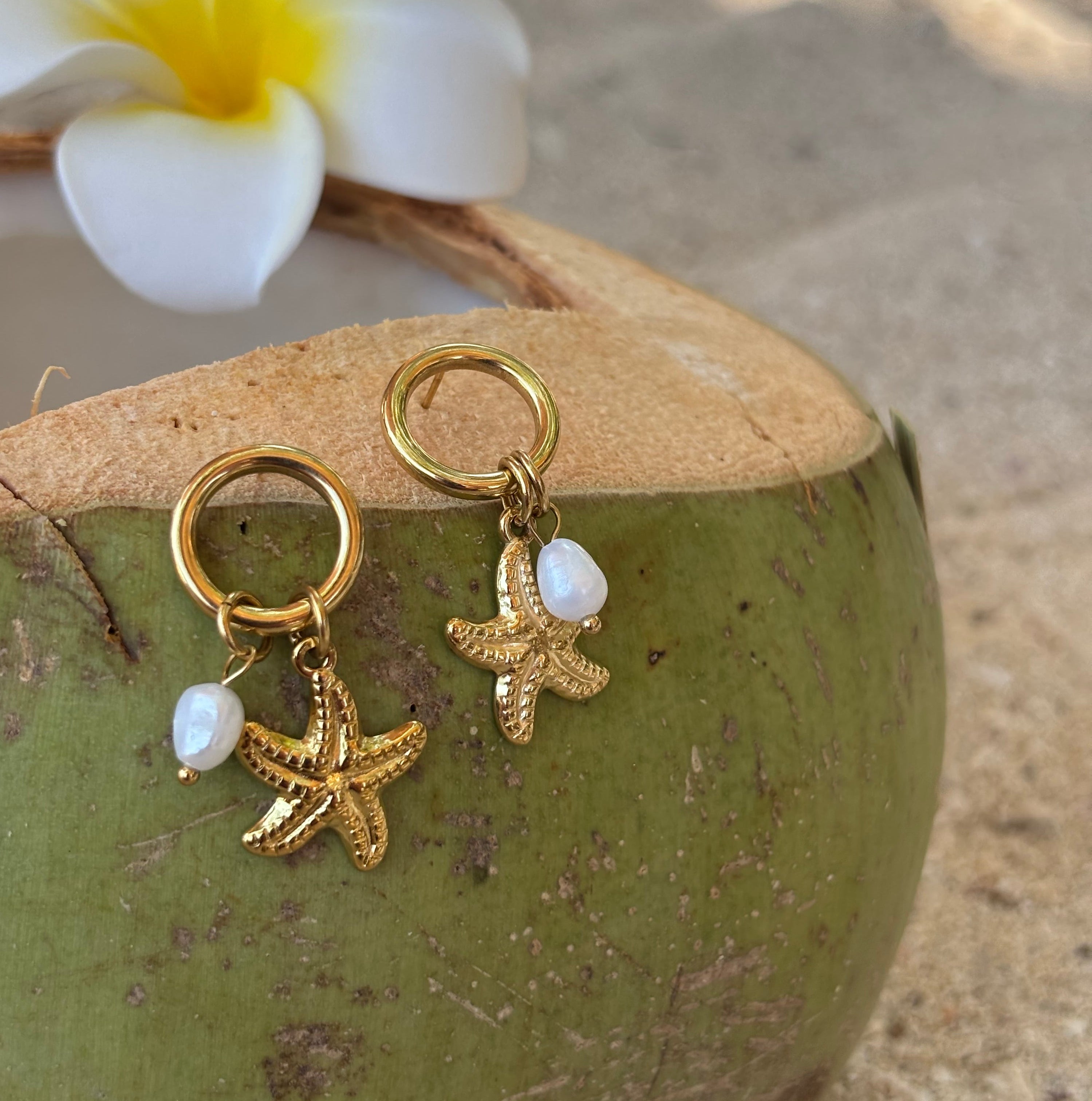 Gold Starfish Earrings / Boucles d'oreilles