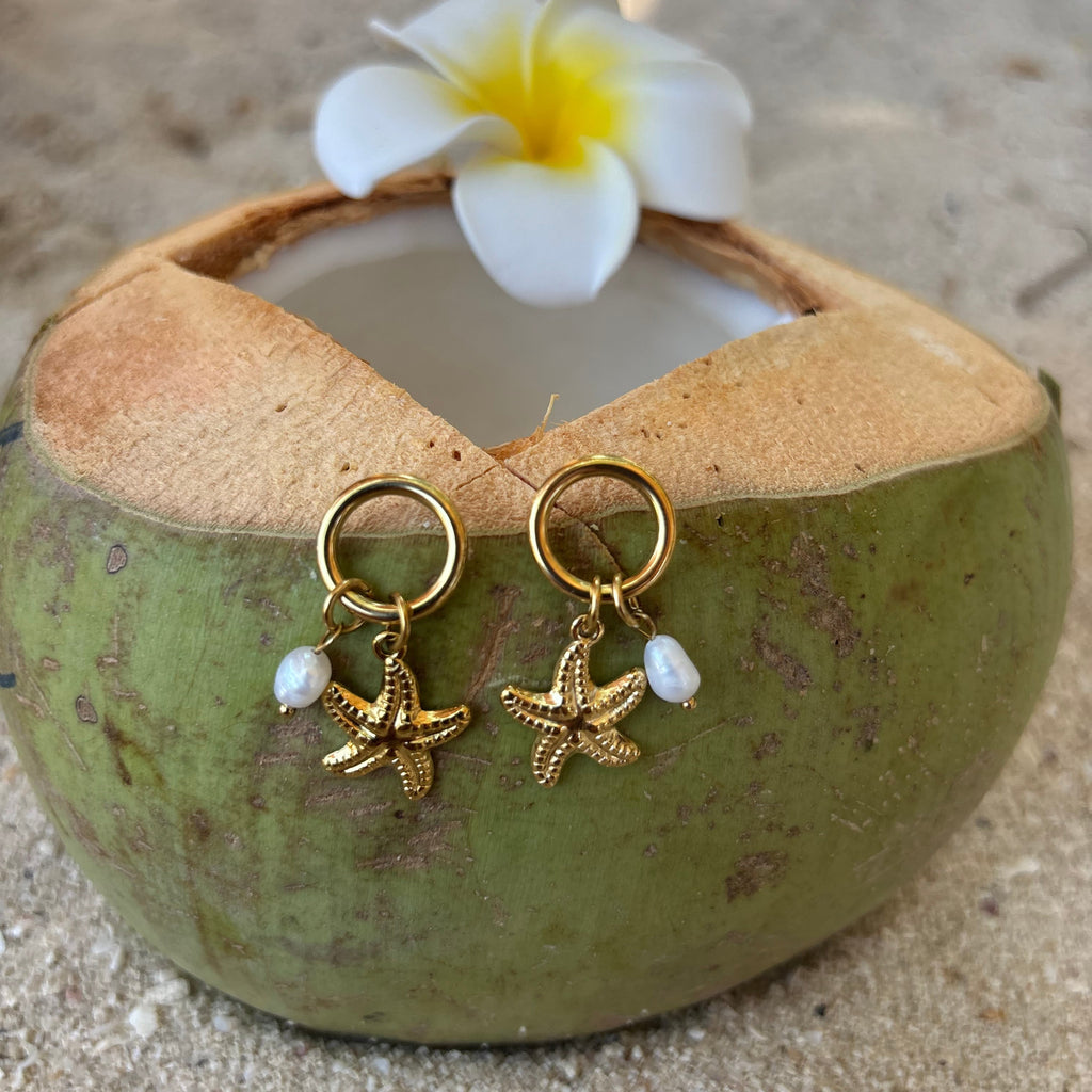 Gold Starfish Earrings / Boucles d'oreilles