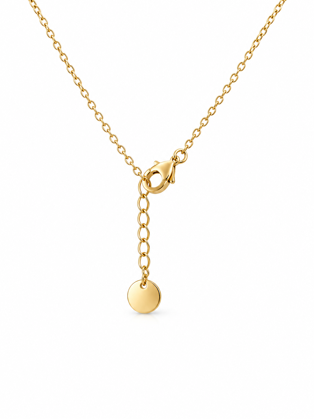 Aries Zodiac Necklace – Stainless Steel