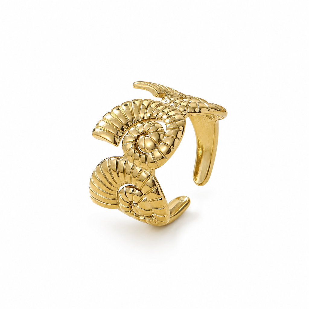 Horizon Ring / Bague