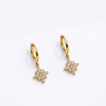Polar Star Earrings / Boucles d'oreilles