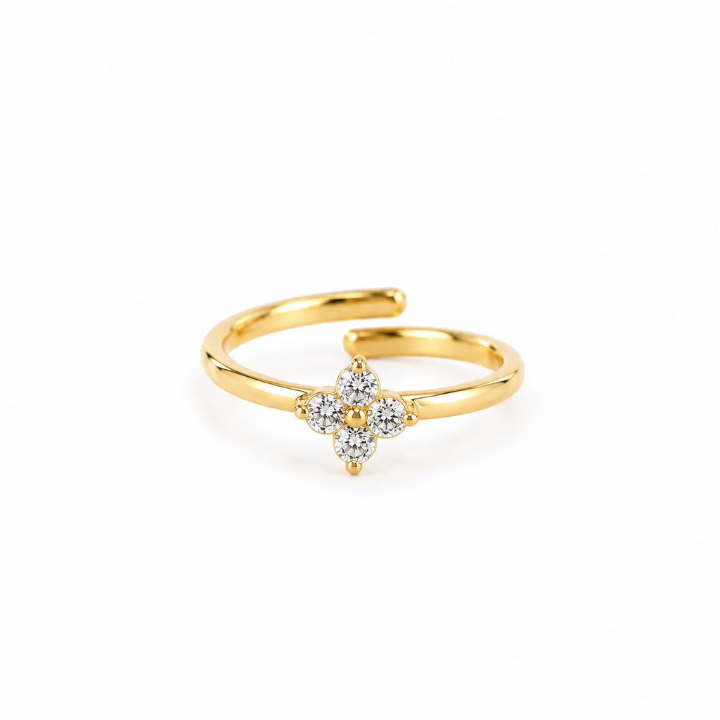 BAGUE - ALMA