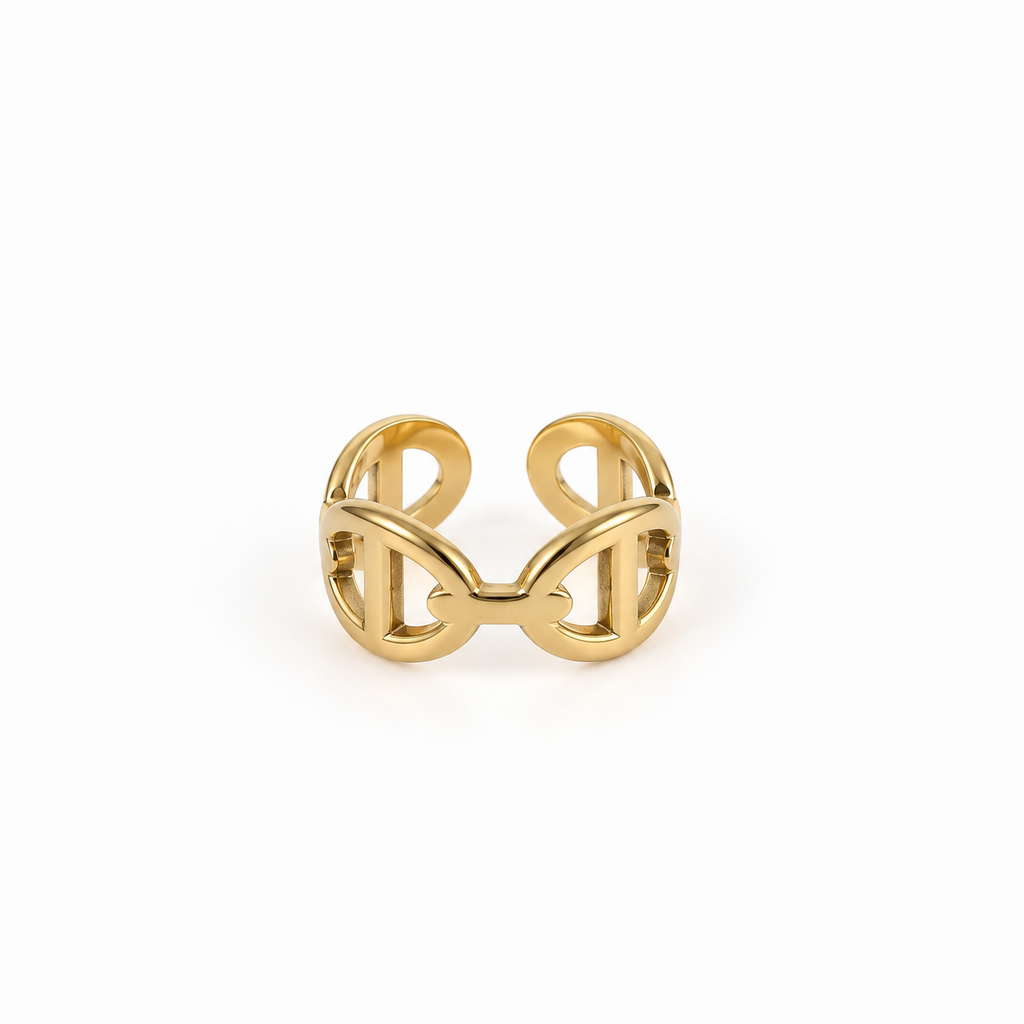 BAGUE - PASSY
