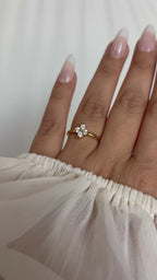 BAGUE - ALMA